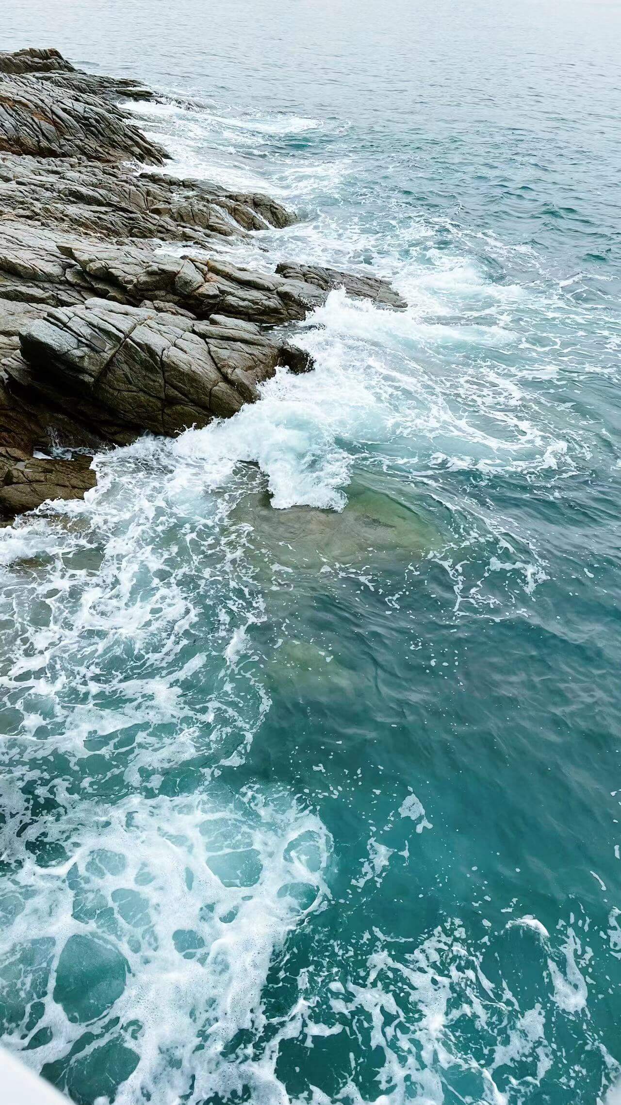 20230409深圳滨海栈道1