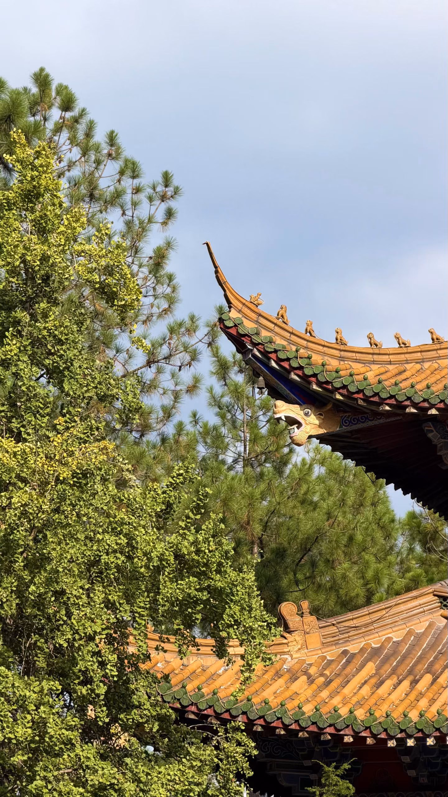 dongfangwenhuayuan20260816_05