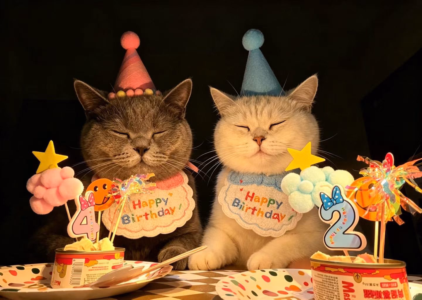 胖妹儿和阿彪的生日