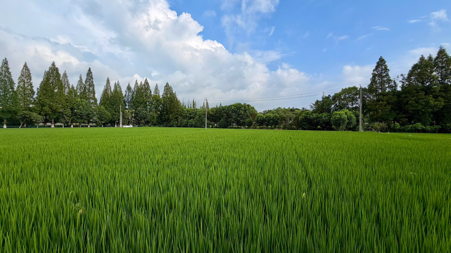 kuayueshanhai20260829_04