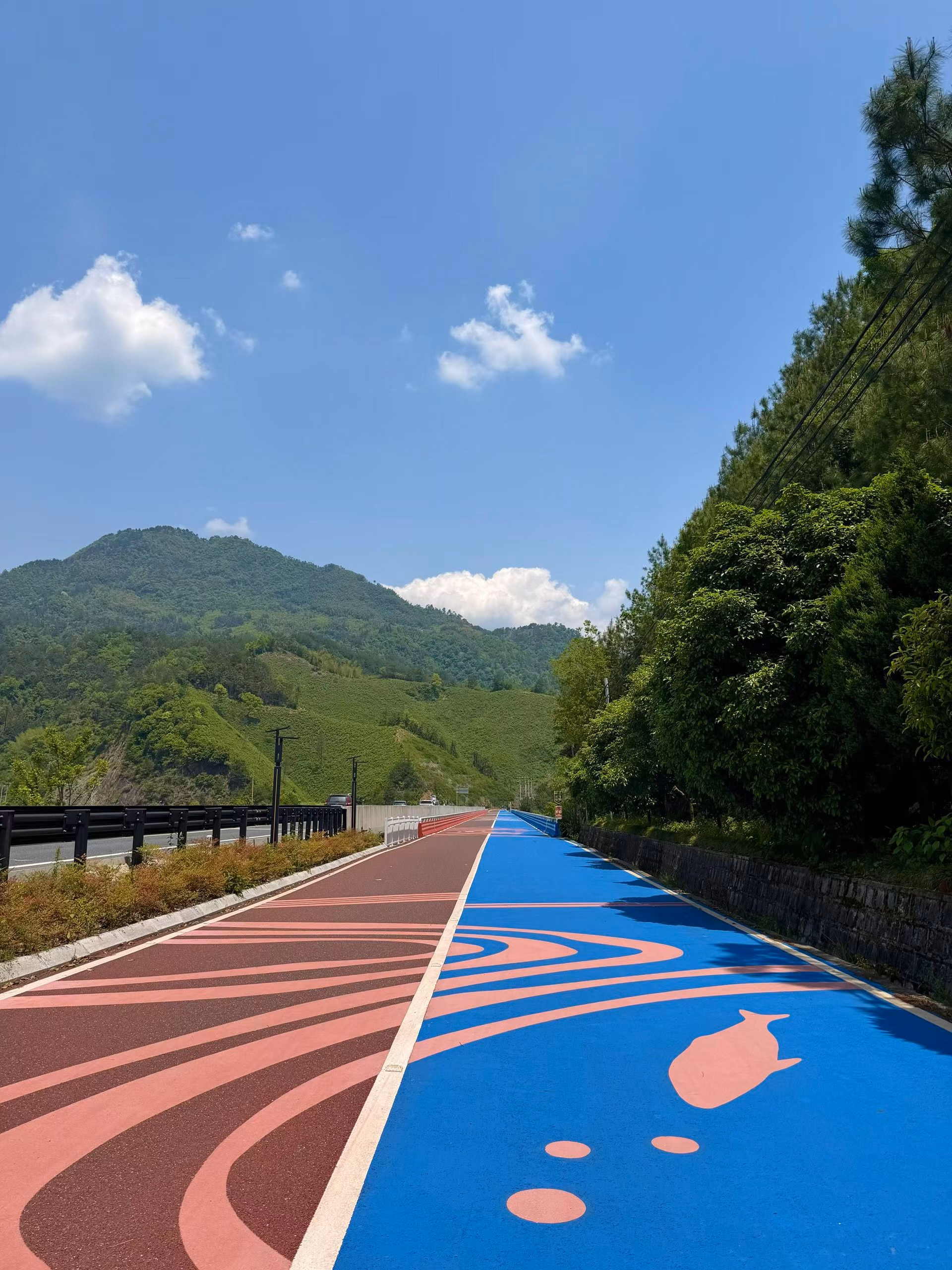 淳安县 · 环湖骑