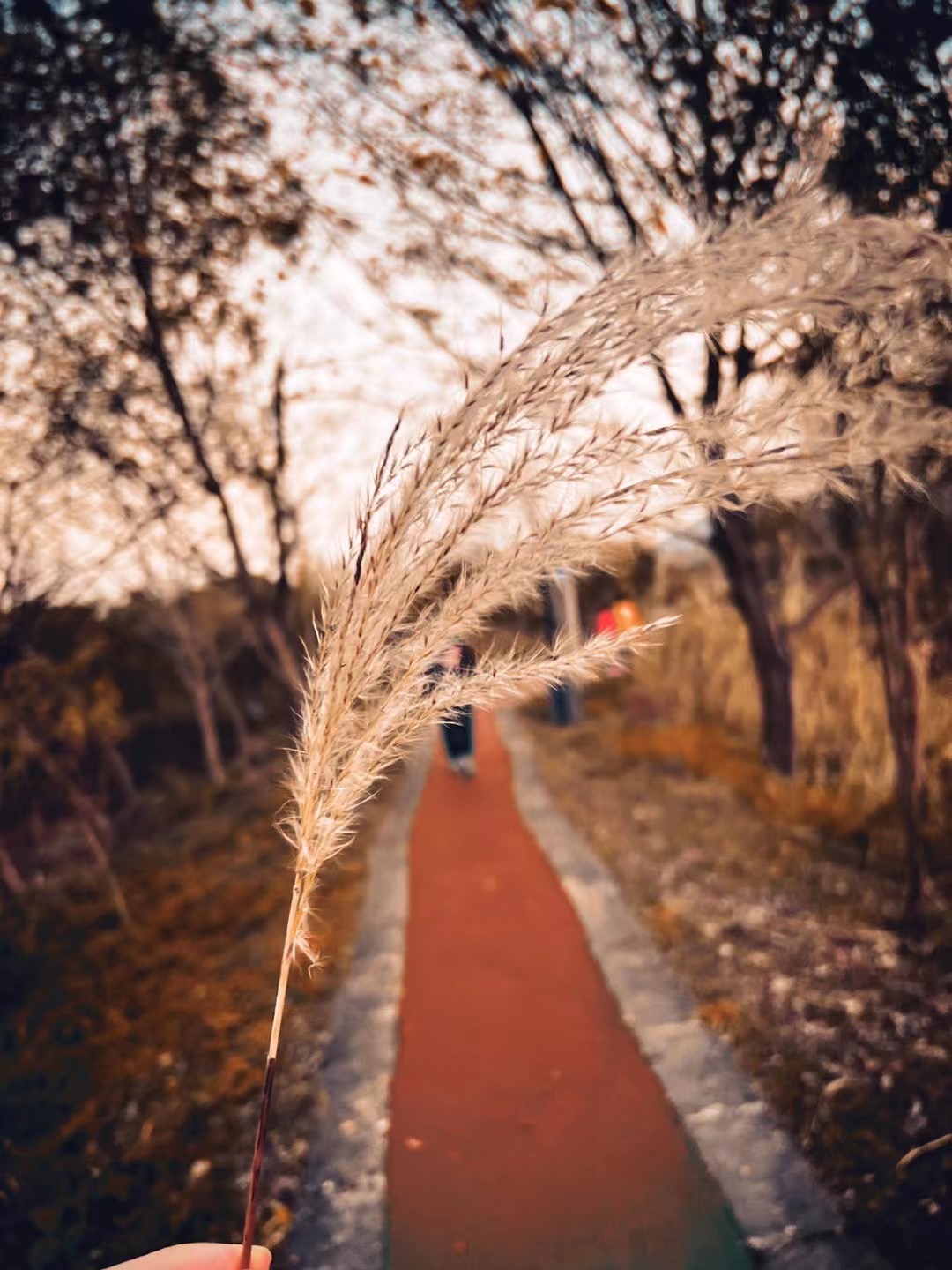 西溪湿地_1645425379093